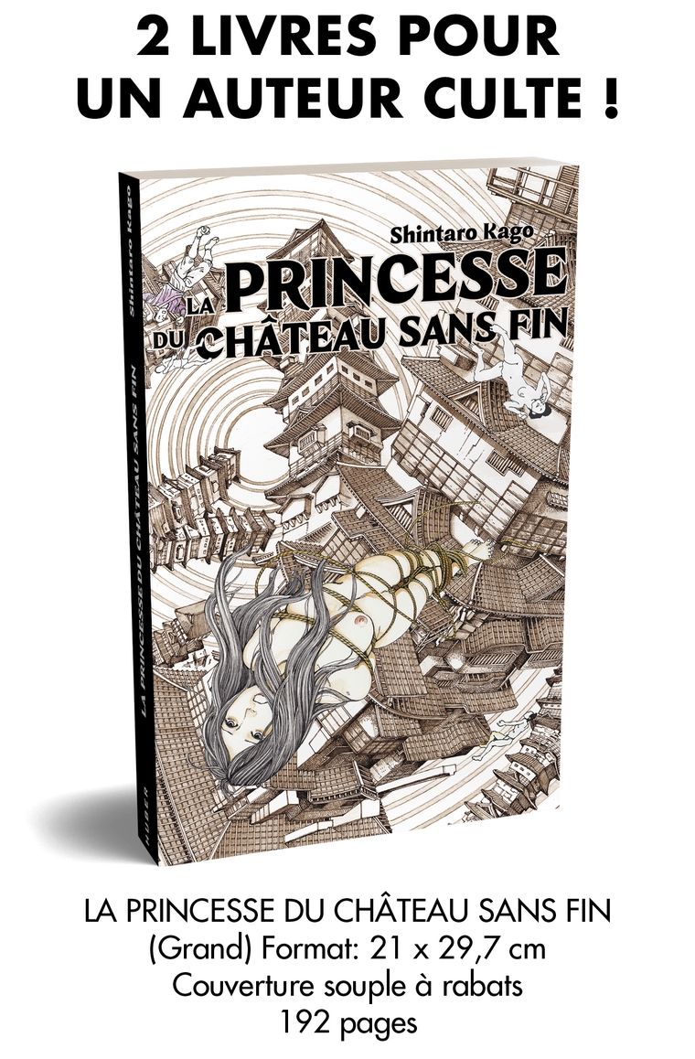 La Princesse Du Château Sans Fin La Princesse du Château sans Fin - Ulule