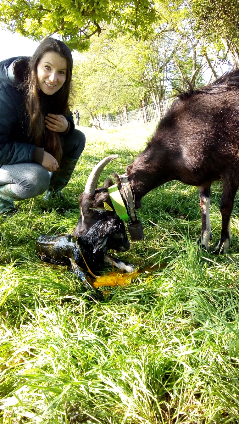 Le Fromage De Chevre Qui Epargne Les Chevreaux Ulule