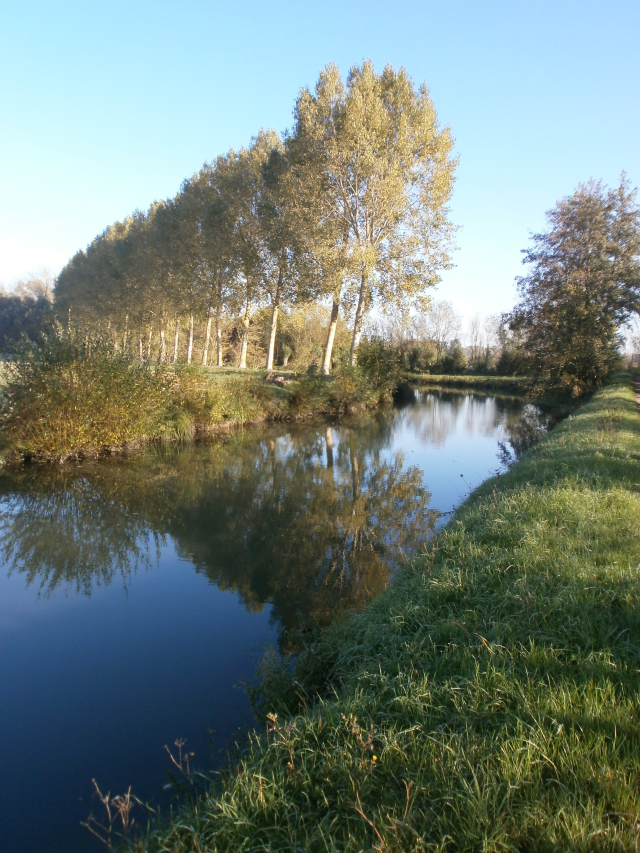 Le muet (Longmétrage) Ulule