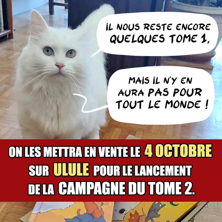 Parole de chat PERCHÉ