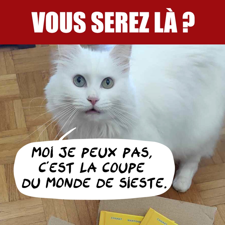 Parole de chat PERCHÉ