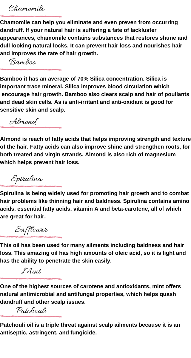 Hair Kiss Organic hair products