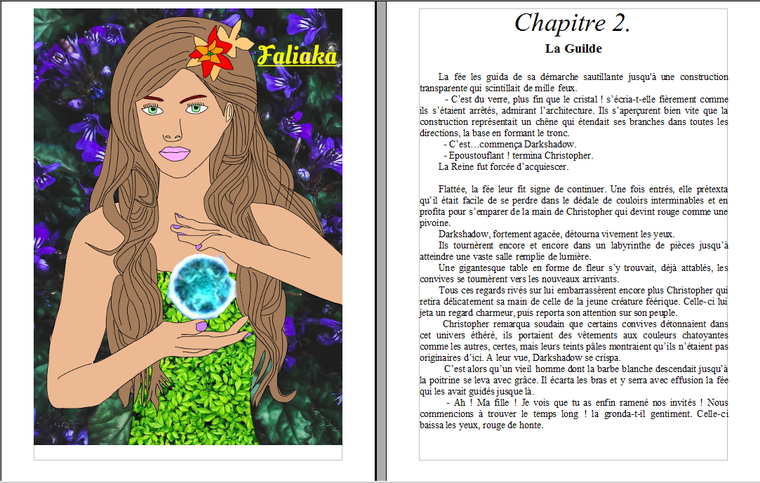 Roman Fantastique La Princesse des Monts Vertigineux