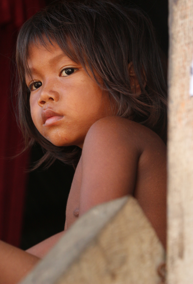 Dragonfly Project Ulule