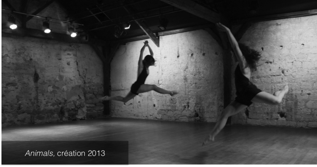 Animals, création 2013, Bérangère Roussel