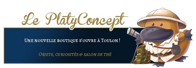 PlatyConcept UNE NOUVELLE BOUTIQUE S'OUVRE A TOULoN! CURIOSITES e SALON DE THE