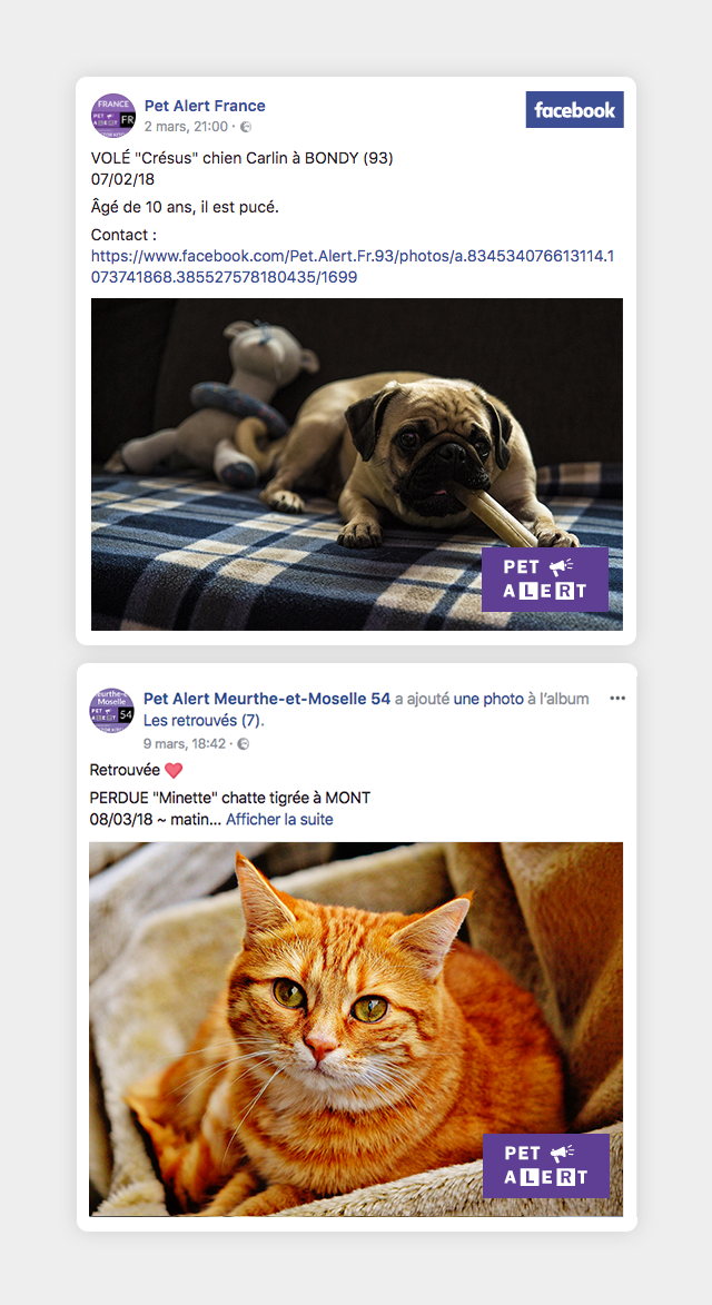 Petective By Pet Alert Ulule