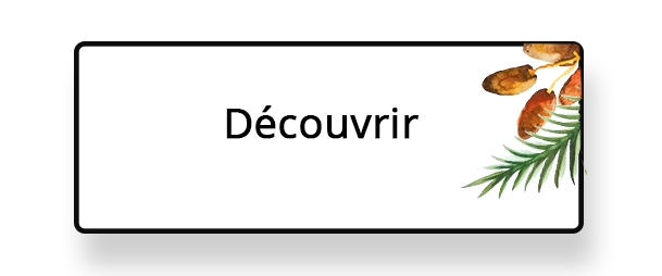 Decouvrir