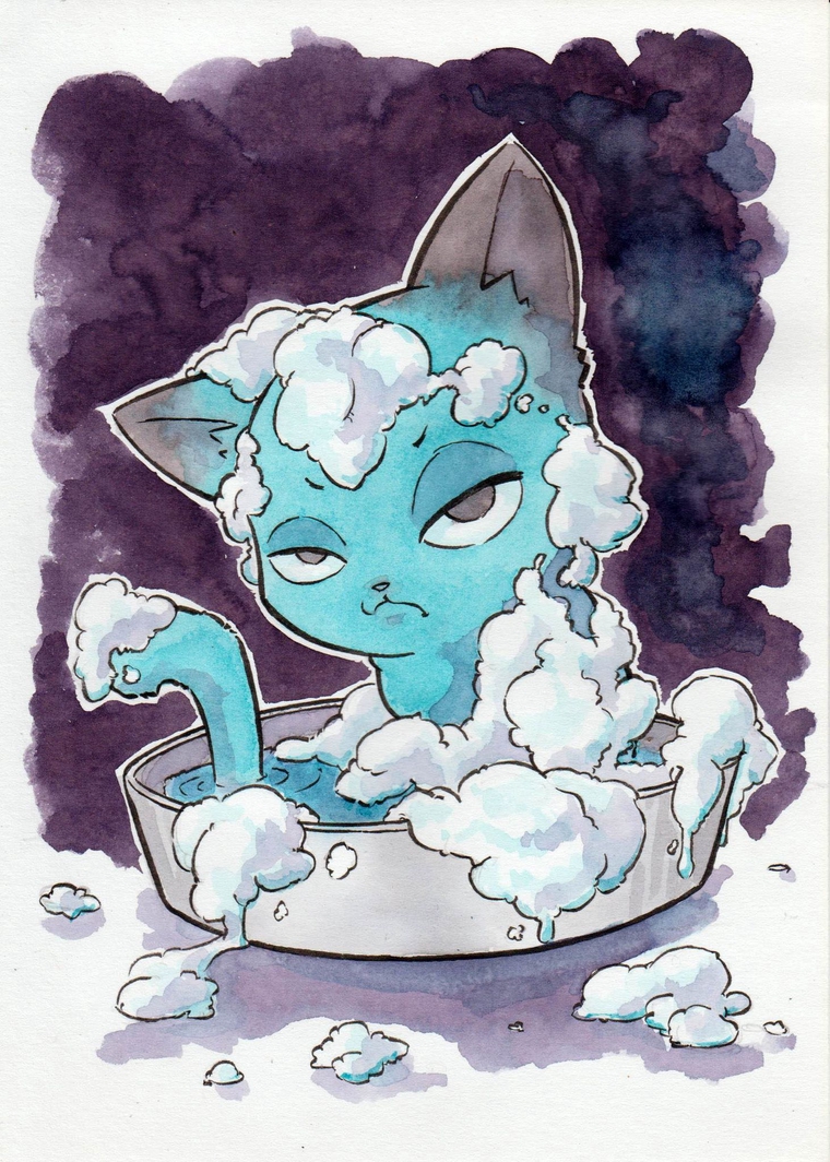 Parole de chat PERCHÉ