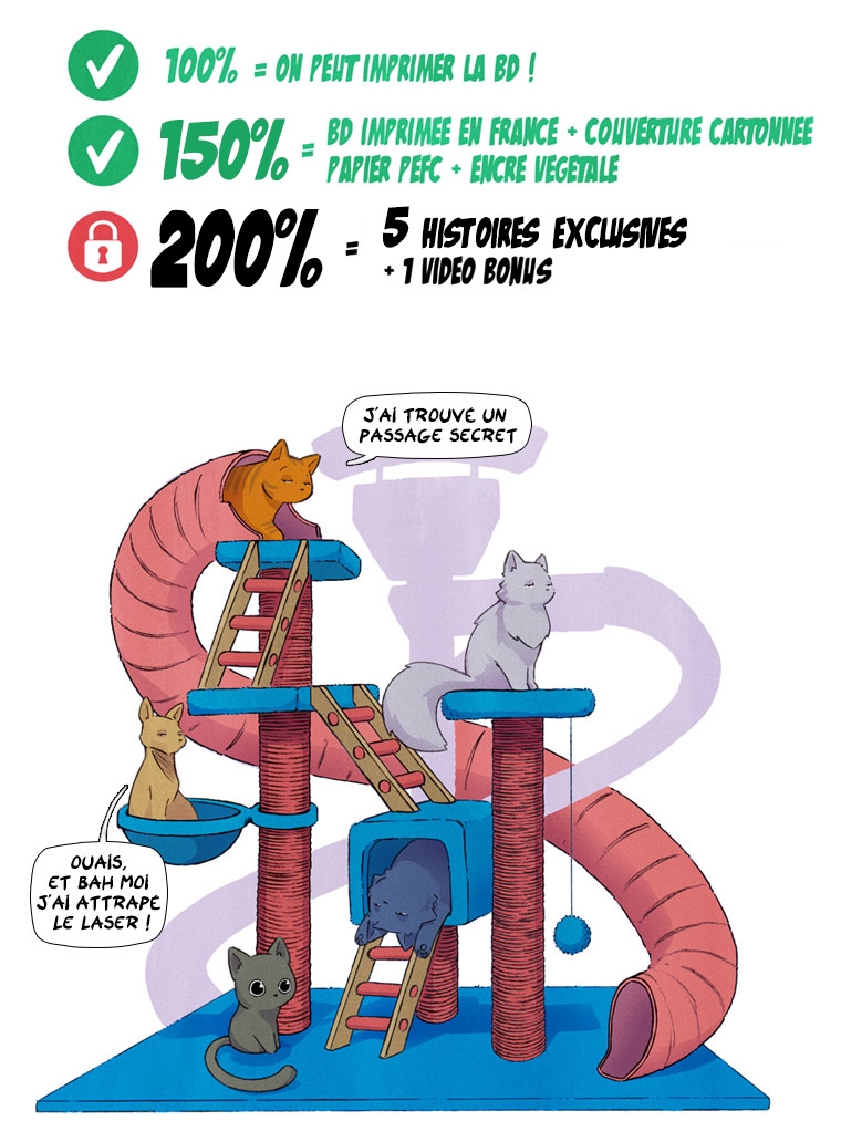 Parole de chat PERCHÉ