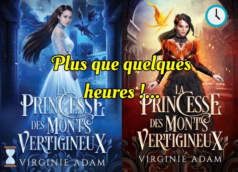 Roman Fantastique La Princesse des Monts Vertigineux