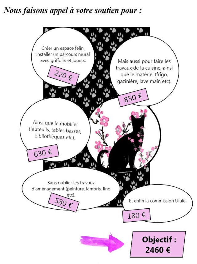 Le Chat Malin Ulule