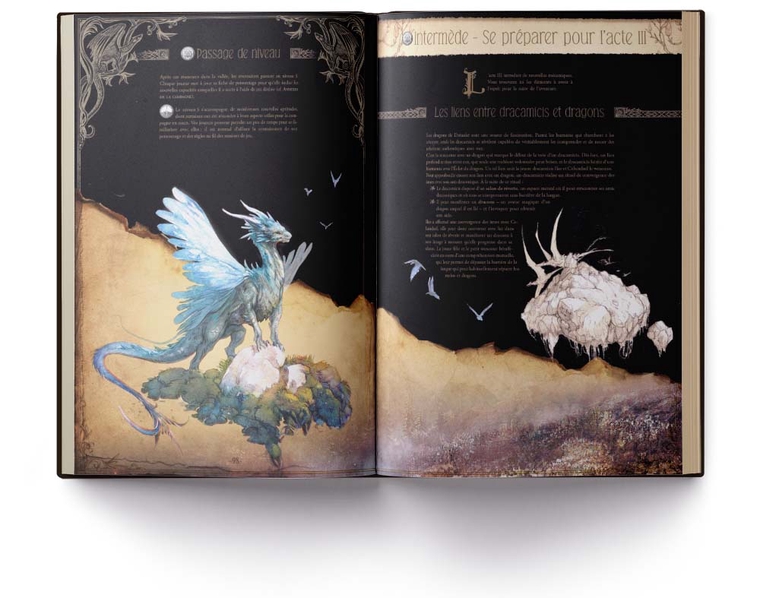 DRACONIS - L'APPEL DE L'AVENTURE (Édition Collector) | La Règle du Jeu