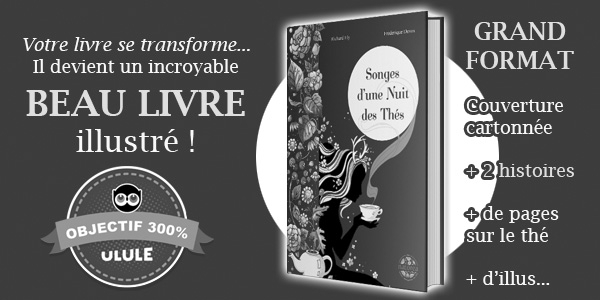 GRAND Votre livre se transforme.. FORMAT devient incroyable Songes dune Nuit BEAU LIVRE Couverture des Thes cartonnee illustre +2histoires +de pages OBJECTIF 300% sur le the ULULE + d'illus