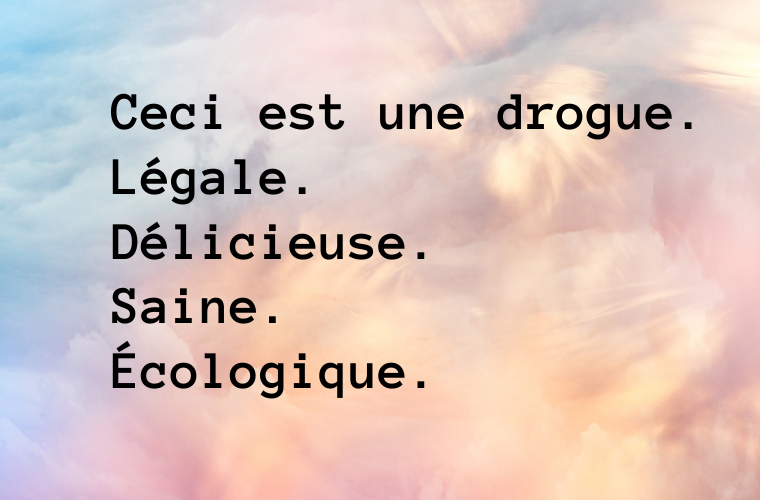 Euphoria La 1ere Cure De Chocolat Cru Ulule