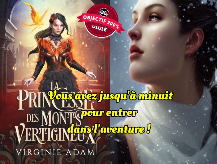 Roman Fantastique La Princesse des Monts Vertigineux